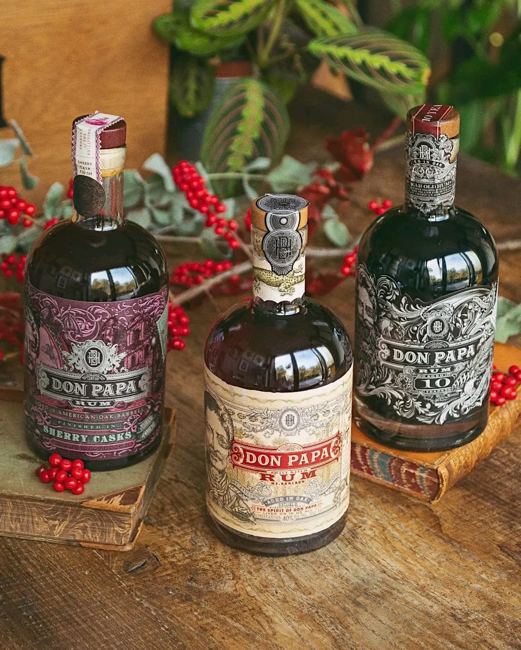 Collection de rhum Don Papa/ France